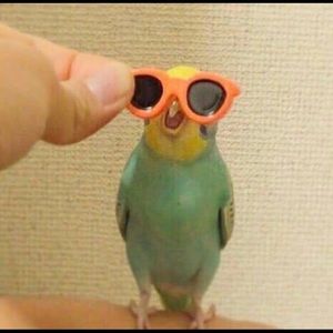 Meet your Posher, Daniel